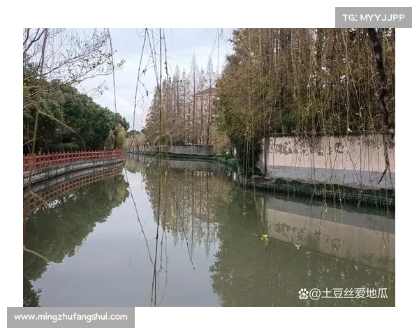 冬日湖畔寻心灵的宁静与温暖 让自然的静谧滋养内心的平和