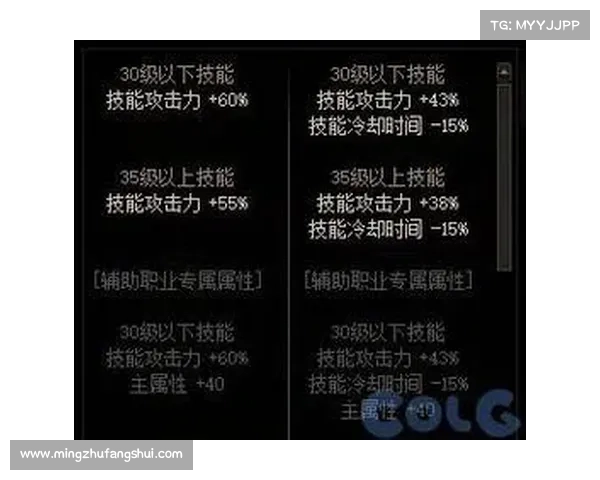 战斗贼技能搭配与实战技巧全解析 提升输出与生存能力的最佳方案
