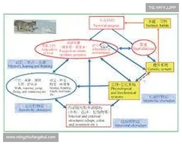 面对僵尸末日的五大生存策略，保护生命的智慧与行动指南