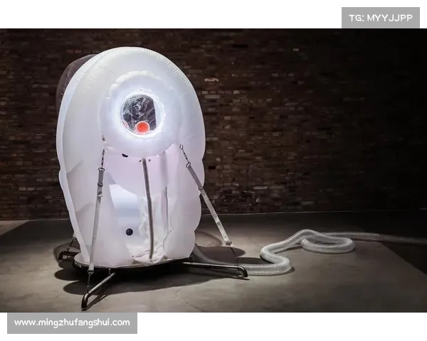 红字装备净化之道：探索提升过程中的艺术性与科学性