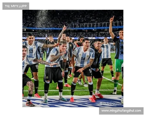 从技战术到心理优势全面解析阿根廷为何能够成功战胜巴西