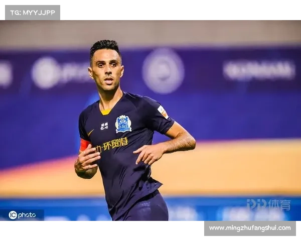 揭秘扎哈维退役背后真相与职业生涯最后抉择