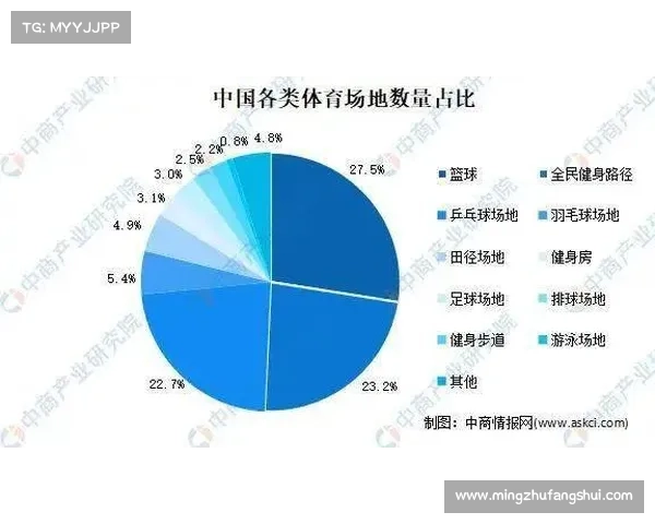奥林匹亚科斯传奇历程与希腊足球未来发展潜力分析