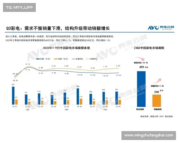 实战揭秘霍伊伦在市场中的竞争力与面临的主要挑战分析