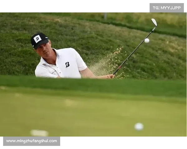 尼克福勒斯高尔夫大赛精彩回顾:顶级选手争锋与激烈赛事亮点解析